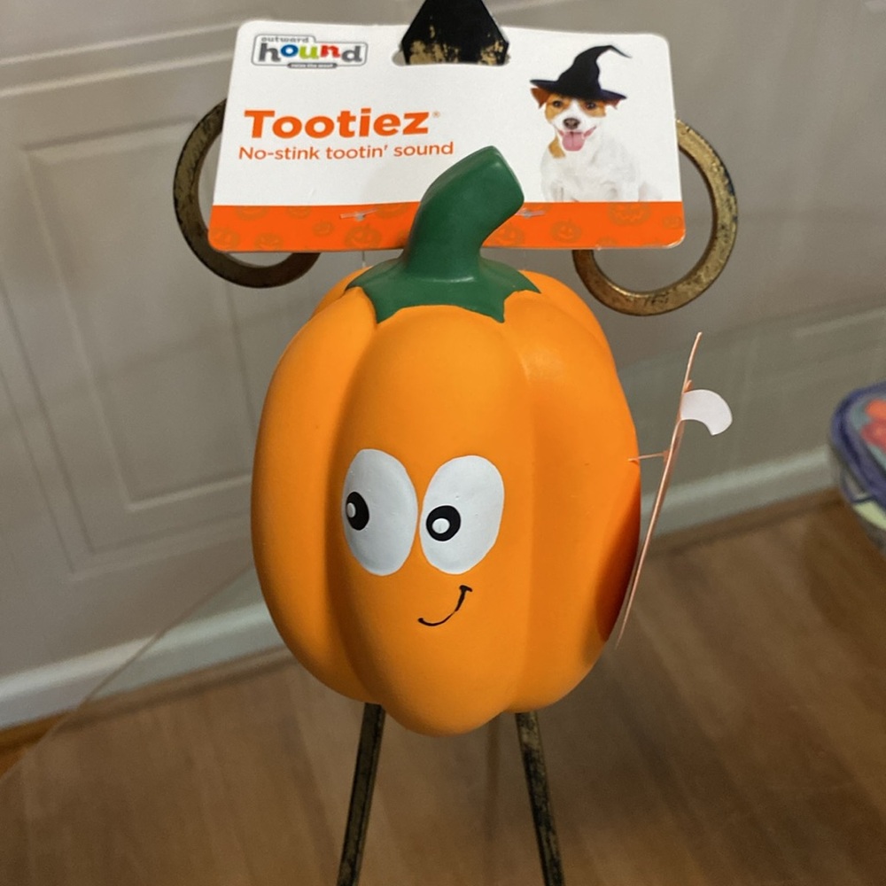 Outward Hound plastic Punkin pet toy.